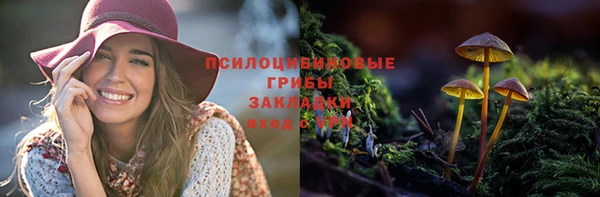 амф Богородск
