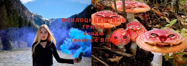 амф Богородск