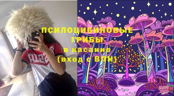 амф Богородицк